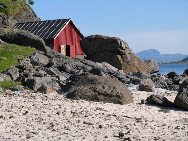 responsable innovation, chief innovation officer, CINO, Directeur de l'Innovation