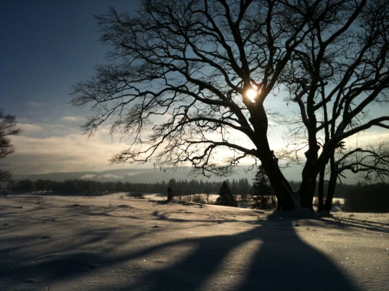 Paysage évoquant le calme